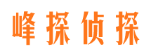 西沙寻人公司